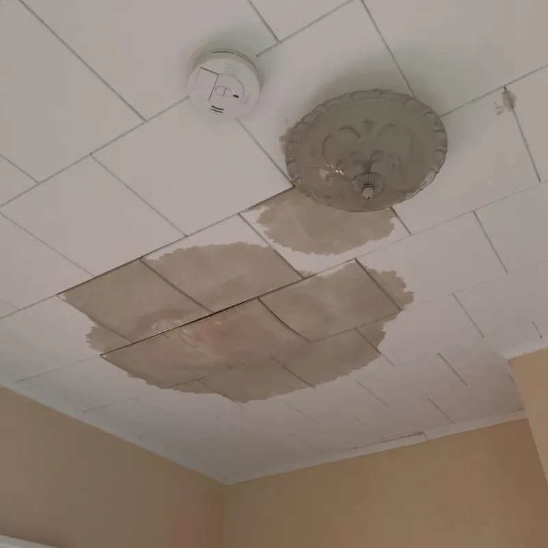 Ceiling Water Damage Repair in Warrenville, IL