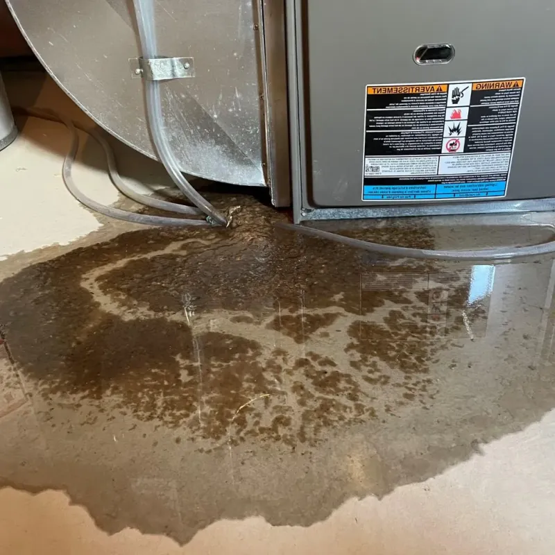 Pipe Burst and Leak Restoration in Warrenville, IL