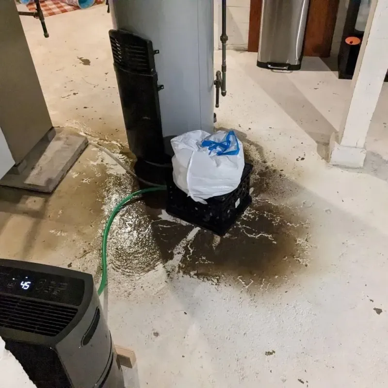 Sewage Backup Cleanup Service in Warrenville, IL